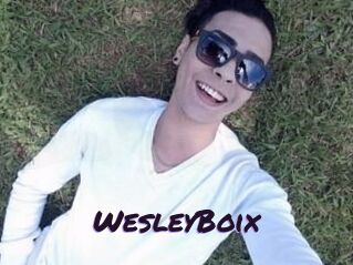 Wesley_Boix