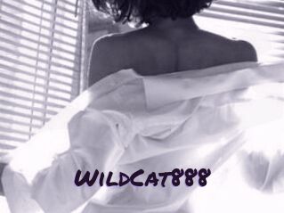 WildCat888