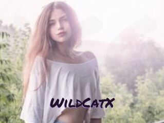 Wild_CatX