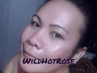 WildHotRose