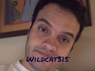 Wildcat315