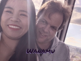 Wanamu