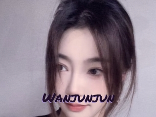 Wanjunjun