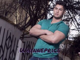 Waynneprice