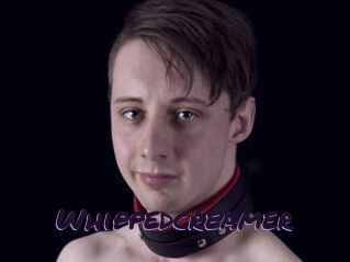 Whippedcreamer