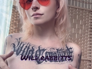 Wild.rabbitts