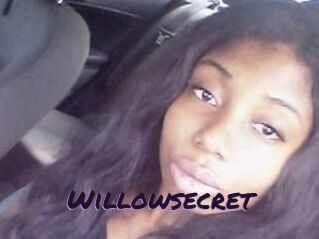 Willow_secret