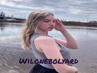 Wilonebolyard