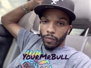 YourMrBull