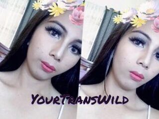 YourTransWild