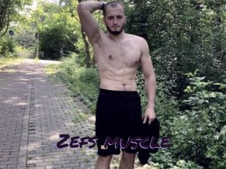 Zefs_muscle