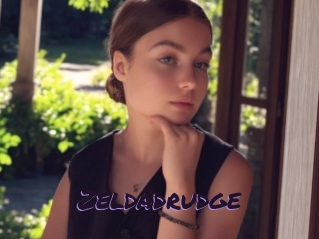 Zeldadrudge